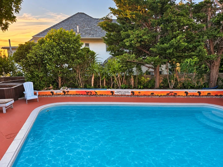 Pool framed by yucca plants and greenery