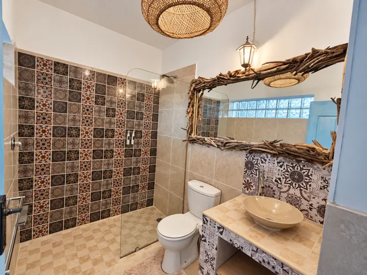 Basin and shower